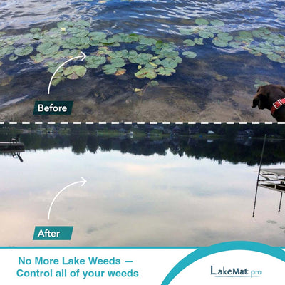 Physical Removal of Lake Weeds