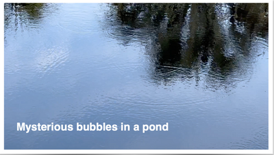 Why Does Your Lake or Pond “Bubble?”